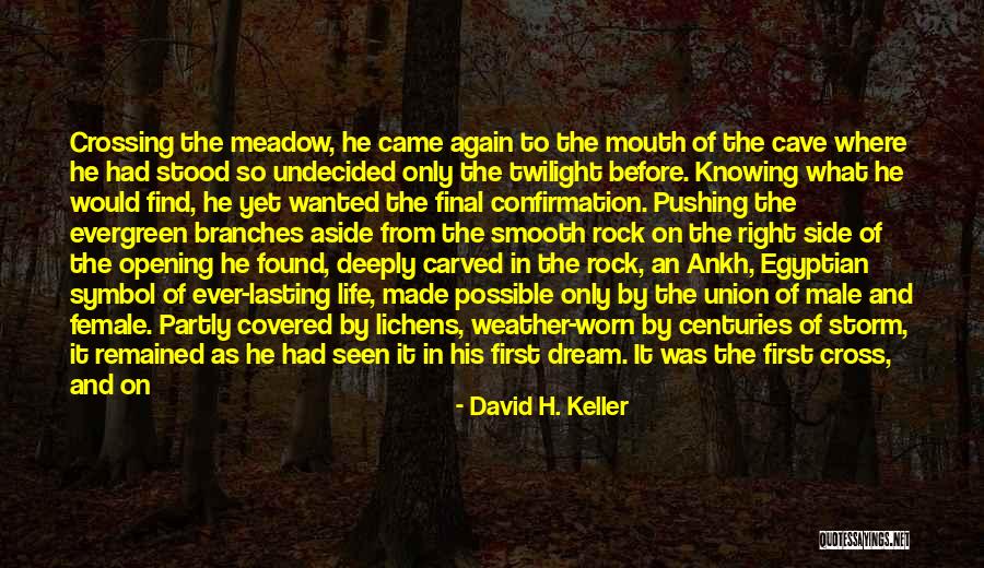 Cave Man Quotes By David H. Keller Cave Man Quotes By David H. Keller