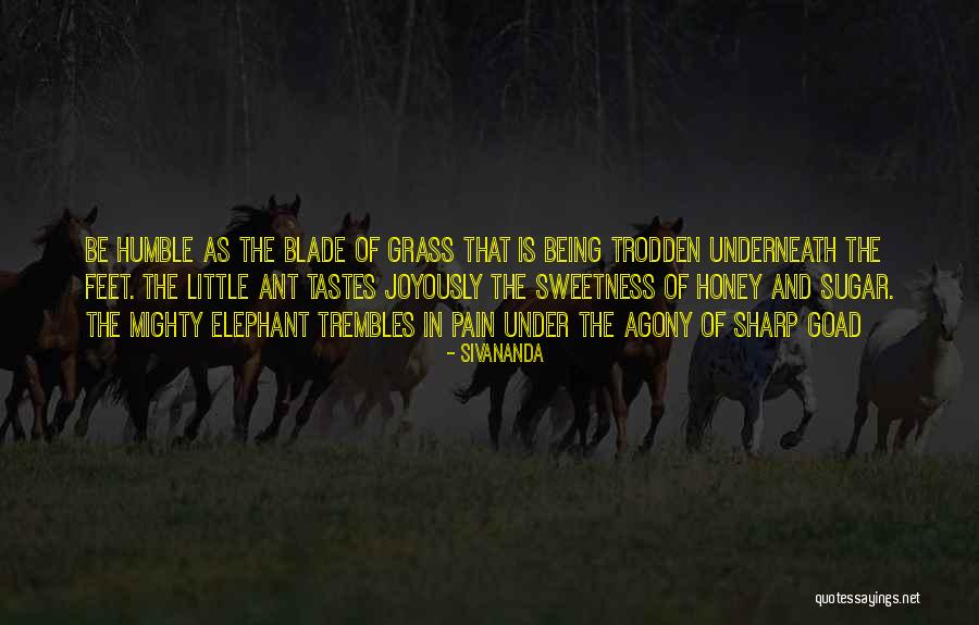 Caveats Lodged Quotes By Sivananda Caveats Lodged Quotes By Sivananda