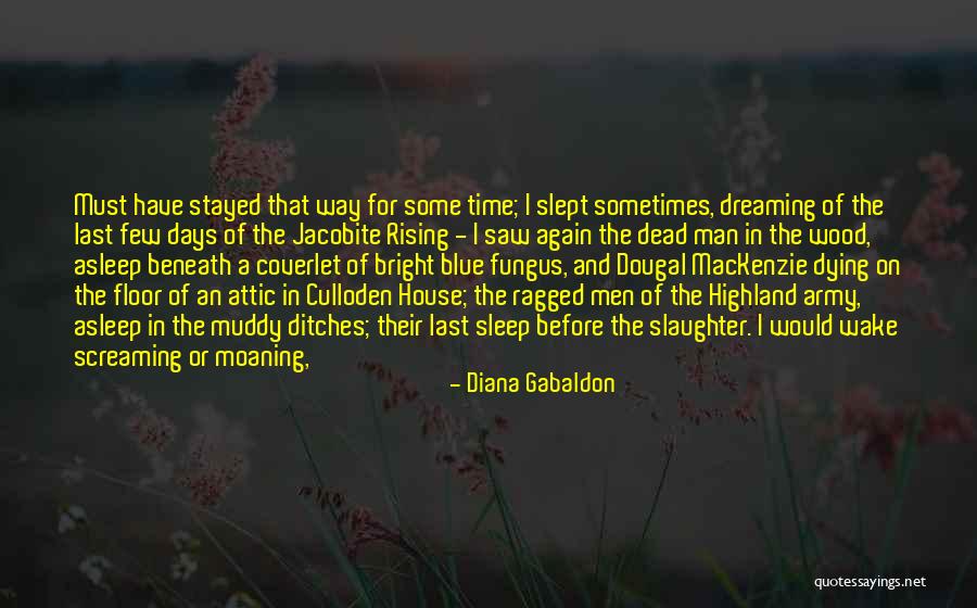 Caveats Synonym Quotes By Diana Gabaldon Caveats Synonym Quotes By Diana Gabaldon