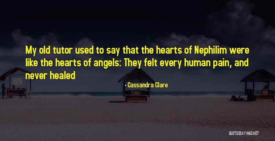 Cavedweller1959 Quotes By Cassandra Clare Cavedweller1959 Quotes By Cassandra Clare