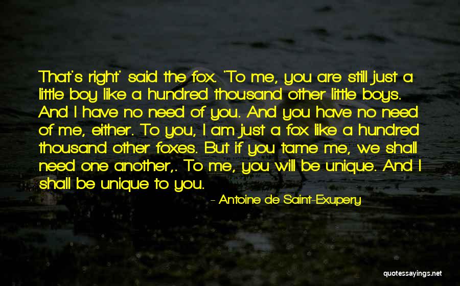 Cavenaugh Auto Quotes By Antoine De Saint-Exupery Cavenaugh Auto Quotes By Antoine De Saint-Exupery
