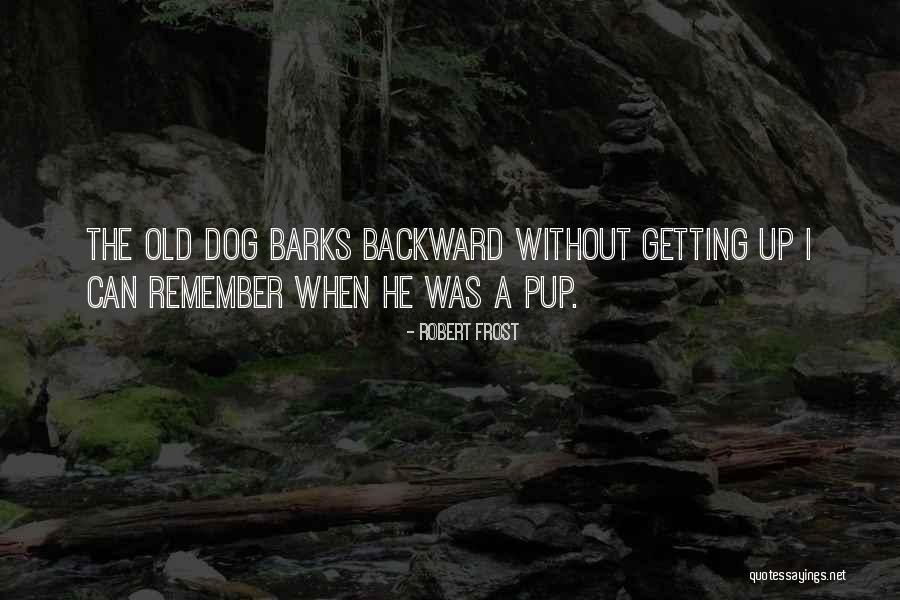 Cavernosometry Quotes By Robert Frost Cavernosometry Quotes By Robert Frost
