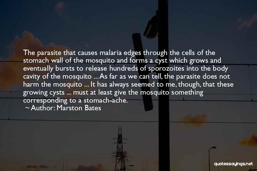 Cavity Wall Quotes By Marston Bates