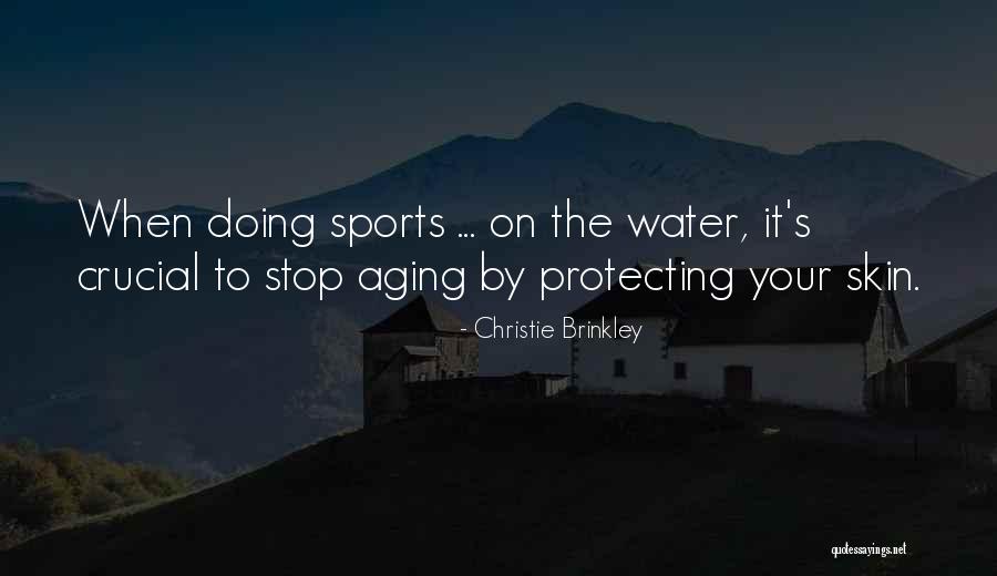 Cazzate Divertenti Quotes By Christie Brinkley Cazzate Divertenti Quotes By Christie Brinkley