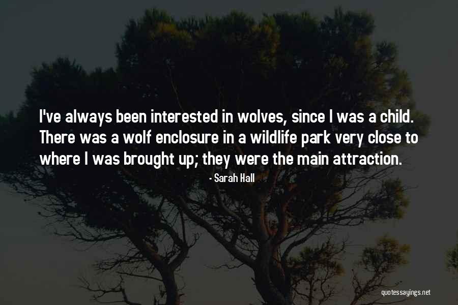 Ccn 51 Quotes By Sarah Hall Ccn 51 Quotes By Sarah Hall