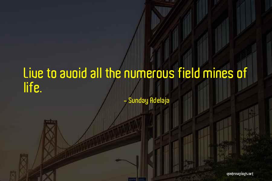 Ccps Home Quotes By Sunday Adelaja Ccps Home Quotes By Sunday Adelaja