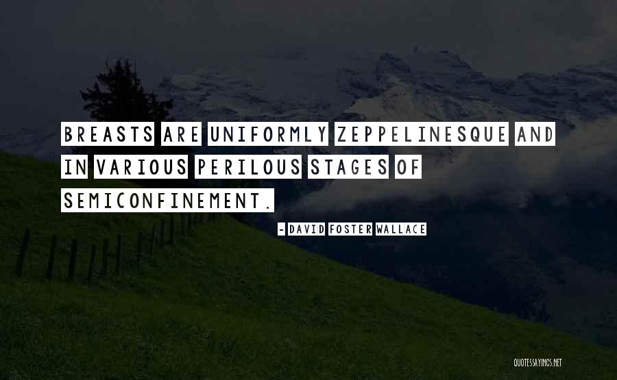 Cdss California Quotes By David Foster Wallace Cdss California Quotes By David Foster Wallace