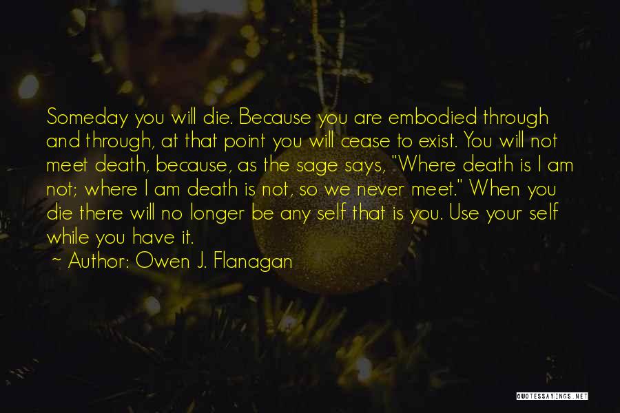 Cease To Exist Quotes By Owen J. Flanagan