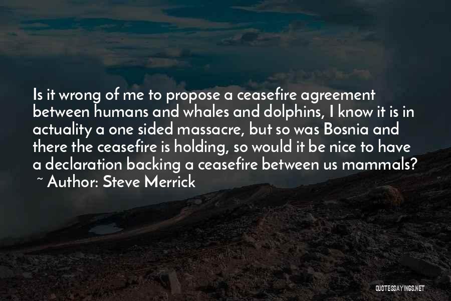 Ceasefire Agreement Quotes By Steve Merrick