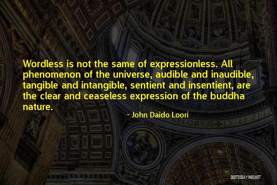 Ceaseless Quotes By John Daido Loori