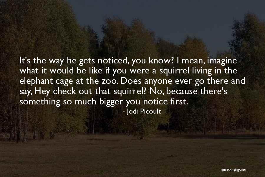 Cebuanas Girls Quotes By Jodi Picoult Cebuanas Girls Quotes By Jodi Picoult