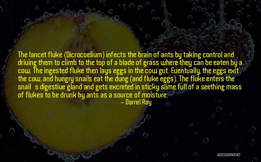 Ceccarelli 33 Quotes By Darrel Ray Ceccarelli 33 Quotes By Darrel Ray