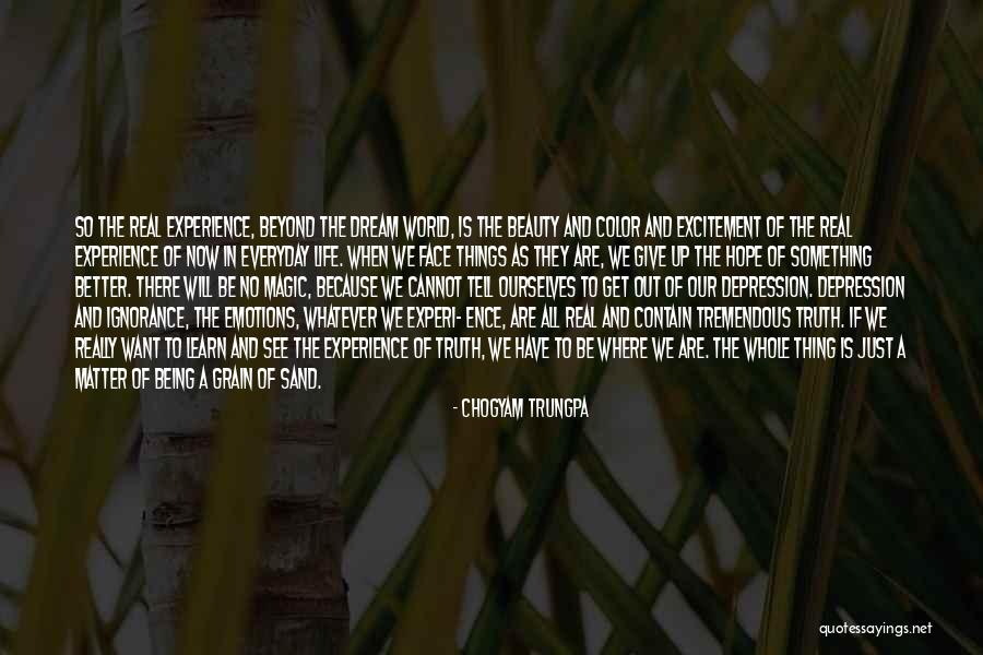 Ceceo Schoten Quotes By Chogyam Trungpa Ceceo Schoten Quotes By Chogyam Trungpa