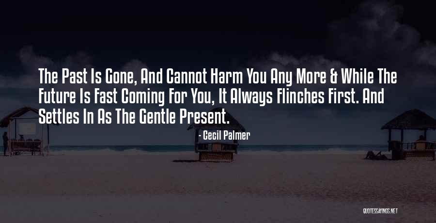 Cecil Palmer Quotes 794112