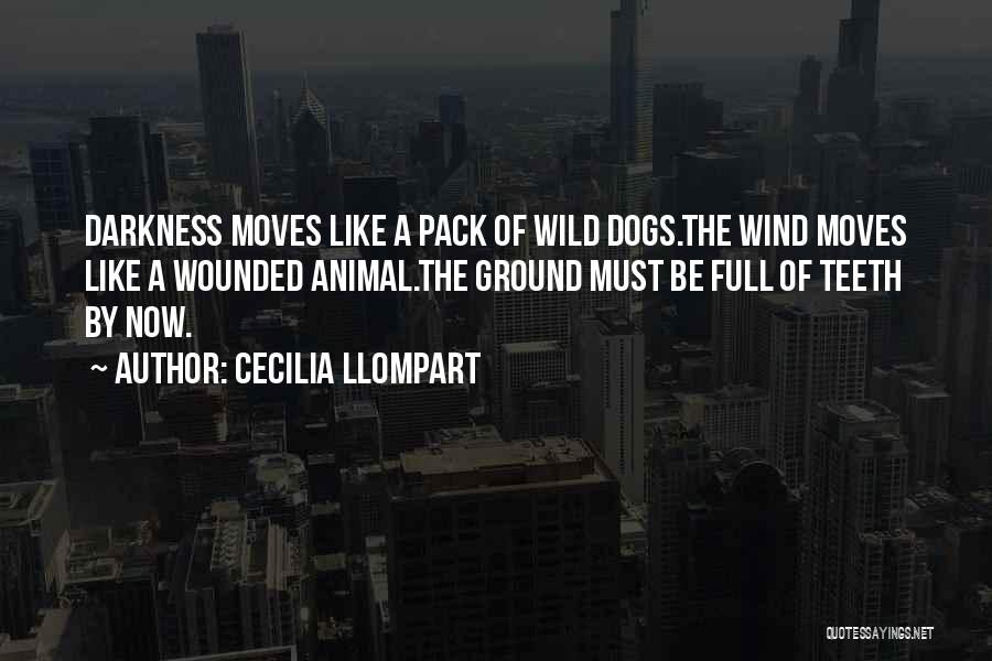 Cecilia Llompart Quotes 1548369