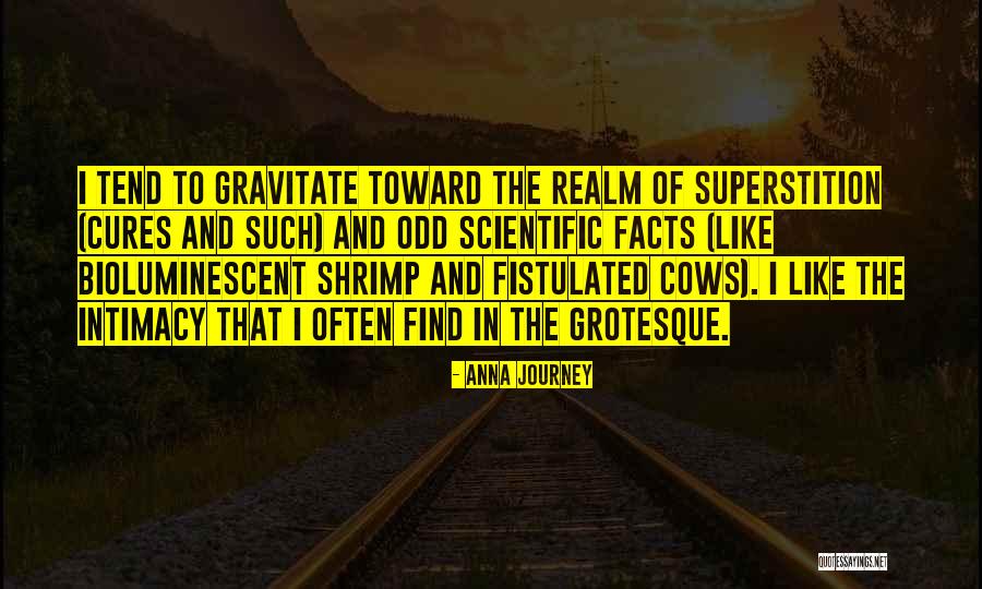 Cecilio Rodriguez Quotes By Anna Journey Cecilio Rodriguez Quotes By Anna Journey