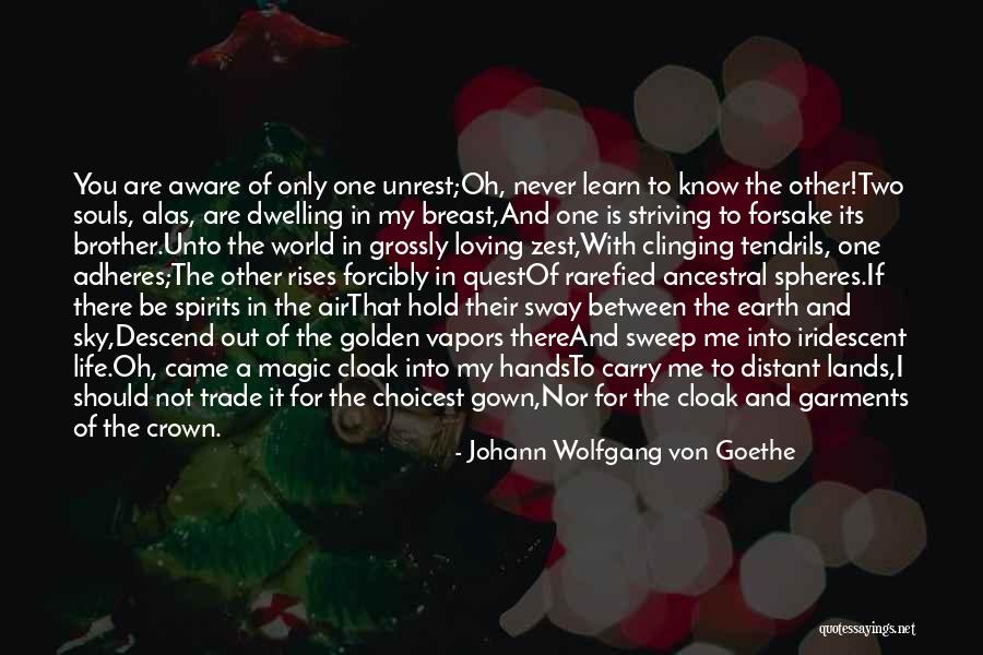Cecit Saramago Quotes By Johann Wolfgang Von Goethe Cecit Saramago Quotes By Johann Wolfgang Von Goethe