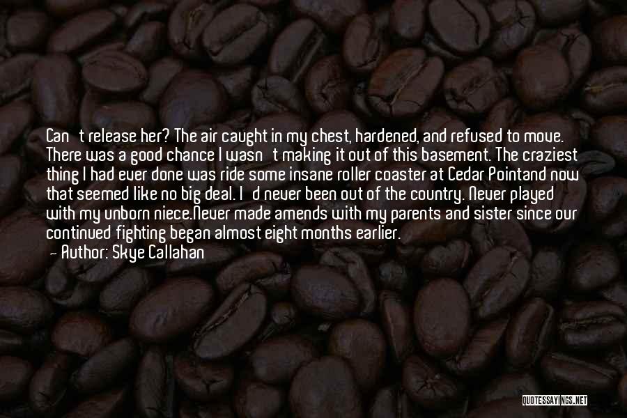Cedar Chest Quotes By Skye Callahan