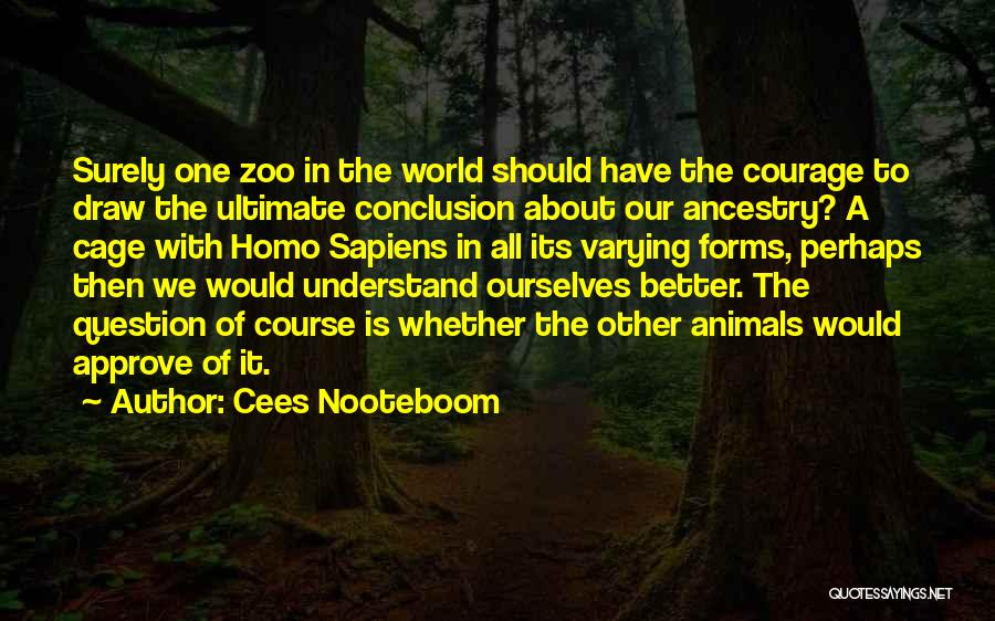 Cees Nooteboom Quotes 783968