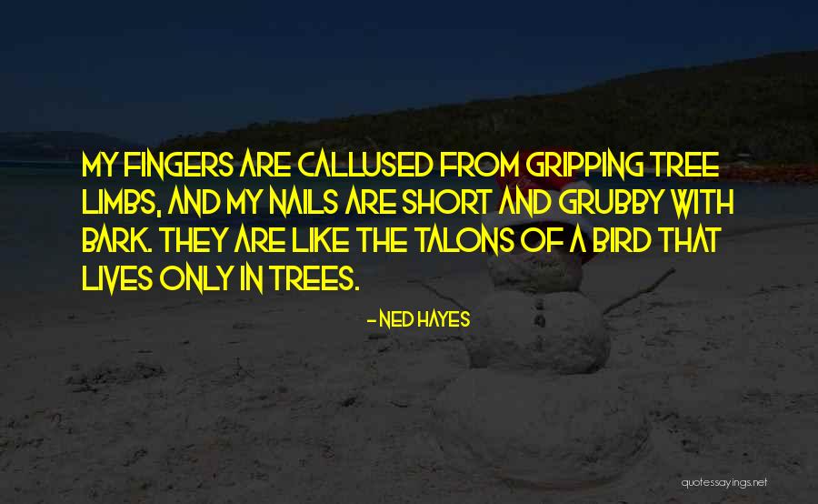 Ceglarz Quotes By Ned Hayes Ceglarz Quotes By Ned Hayes