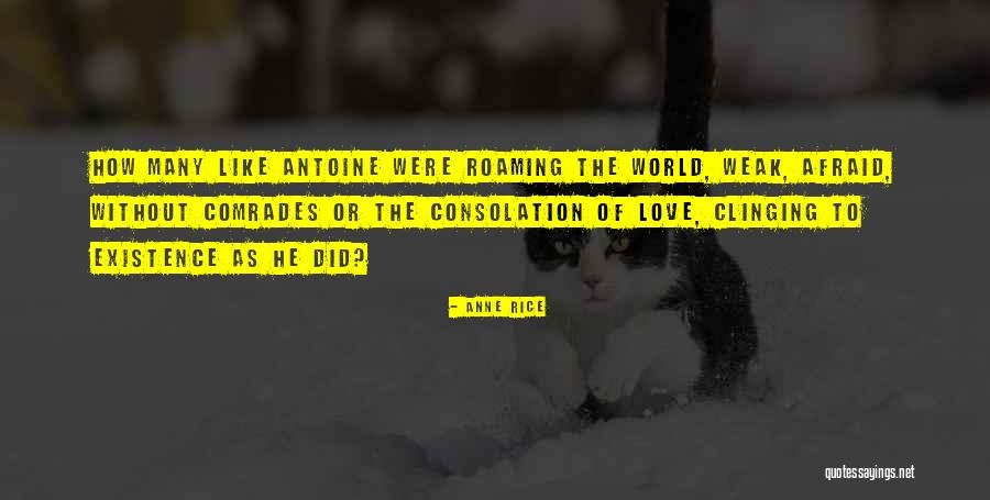 Ceilidh Joy Quotes By Anne Rice Ceilidh Joy Quotes By Anne Rice