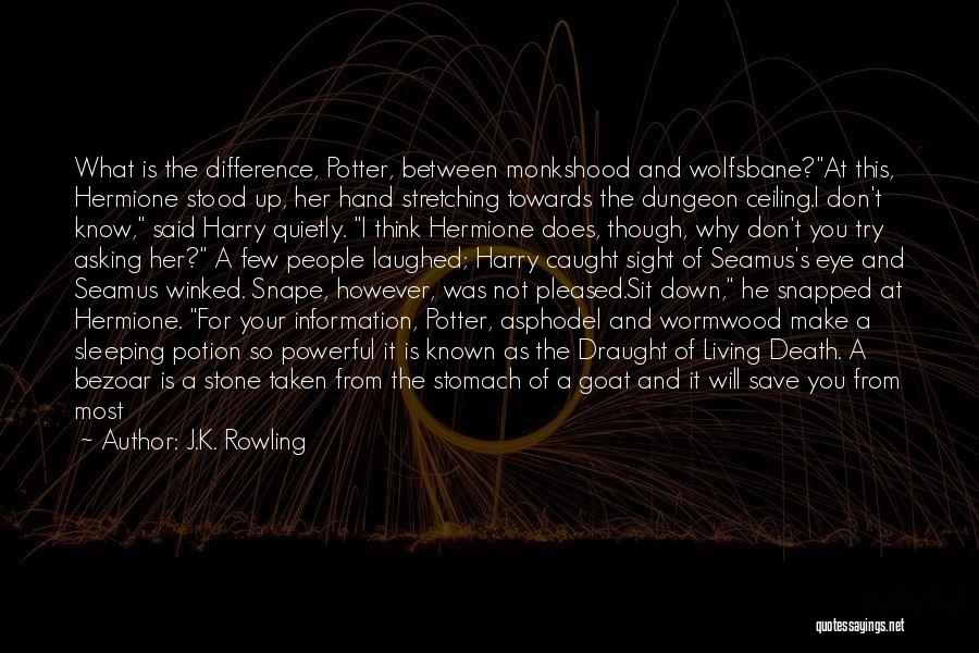 Ceiling Quotes By J.K. Rowling