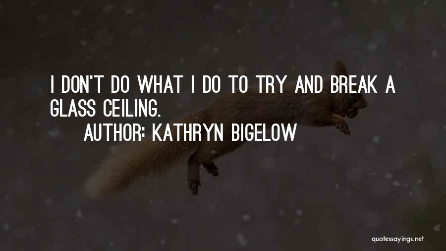 Ceiling Quotes By Kathryn Bigelow