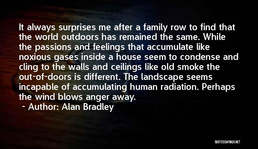 Ceilings Quotes By Alan Bradley