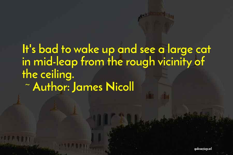 Ceilings Quotes By James Nicoll