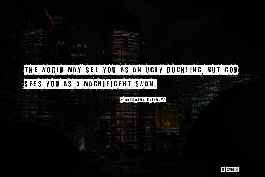 Ceilort Quotes By Matshona Dhliwayo Ceilort Quotes By Matshona Dhliwayo
