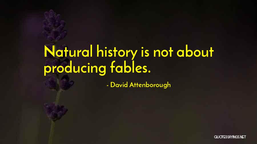 Ceintures Judo Quotes By David Attenborough Ceintures Judo Quotes By David Attenborough