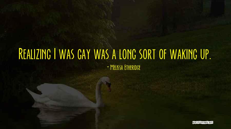 Ceire Smyth Quotes By Melissa Etheridge