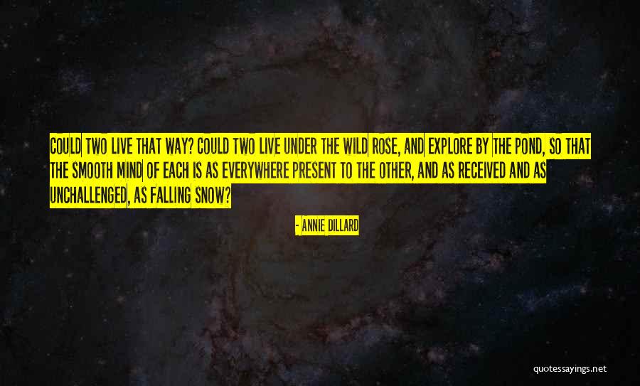 Ceitax Quotes By Annie Dillard Ceitax Quotes By Annie Dillard