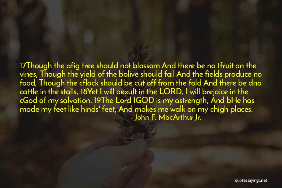 Cejrowski Niemcy Quotes By John F. MacArthur Jr. Cejrowski Niemcy Quotes By John F. MacArthur Jr.