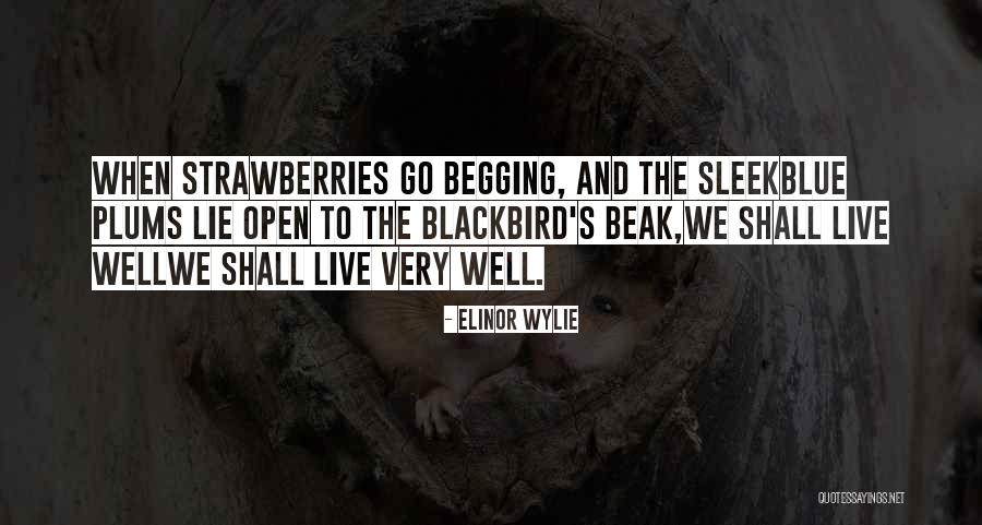 Ceket Pantolon Quotes By Elinor Wylie Ceket Pantolon Quotes By Elinor Wylie
