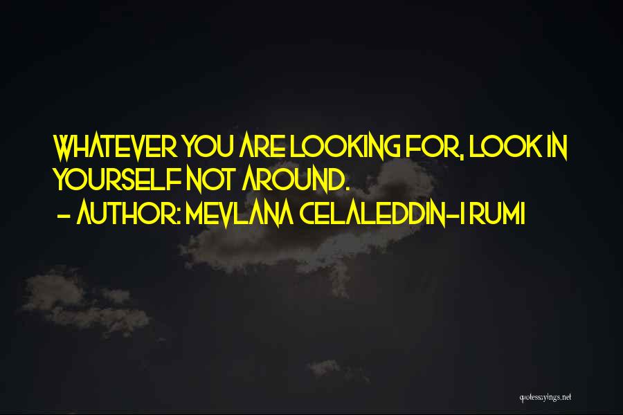 Celaleddin Rumi Quotes By Mevlana Celaleddin-i Rumi