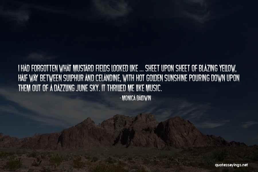 Celandine Quotes By Monica Baldwin Celandine Quotes By Monica Baldwin