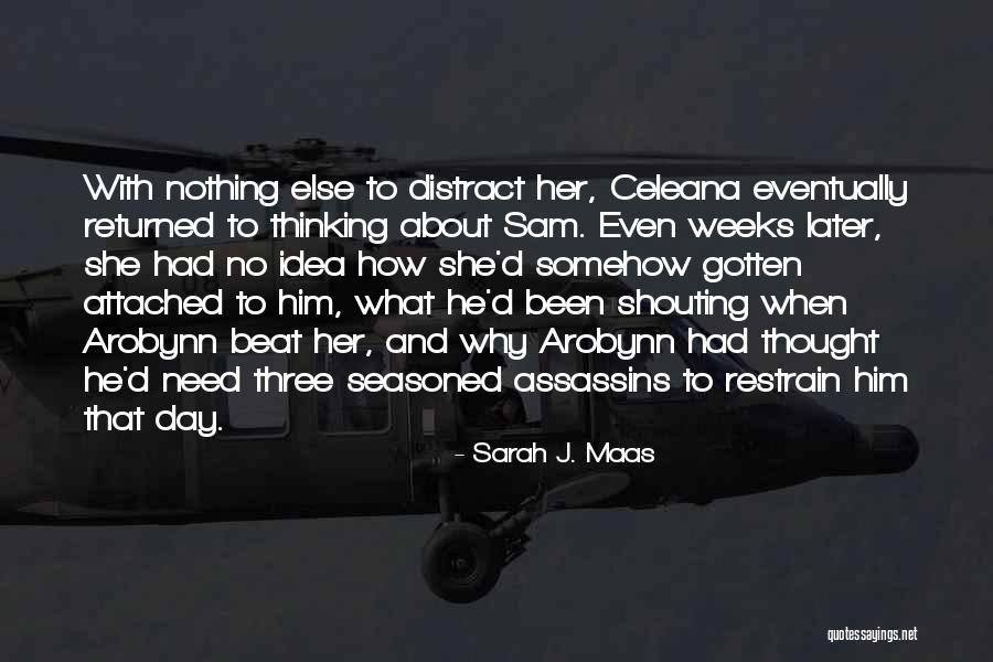 Celeana Quotes By Sarah J. Maas Celeana Quotes By Sarah J. Maas