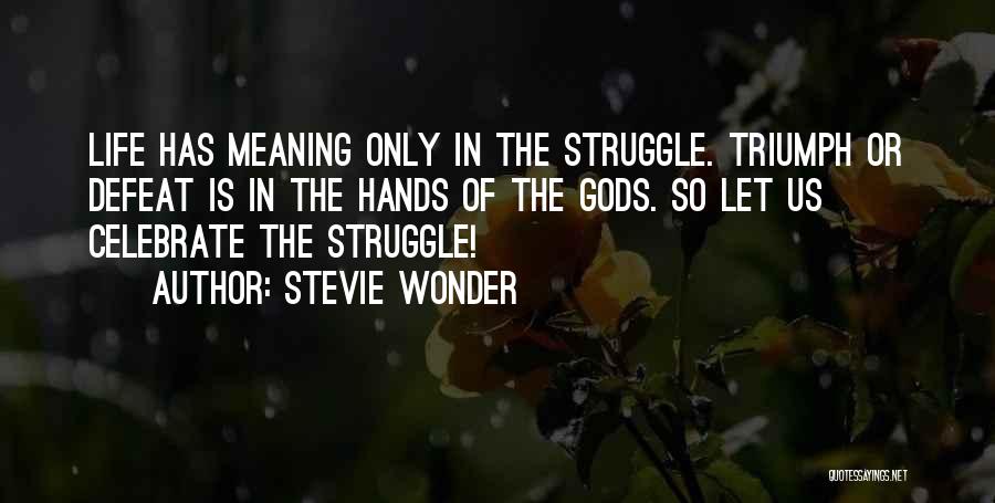 Celebrate Life Quotes By Stevie Wonder