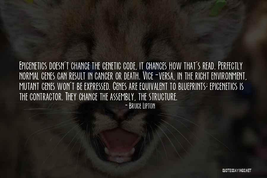 Celebrate Safely Quotes By Bruce Lipton Celebrate Safely Quotes By Bruce Lipton