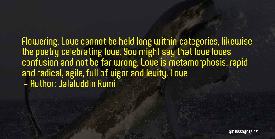 Celebrating Love Quotes By Jalaluddin Rumi