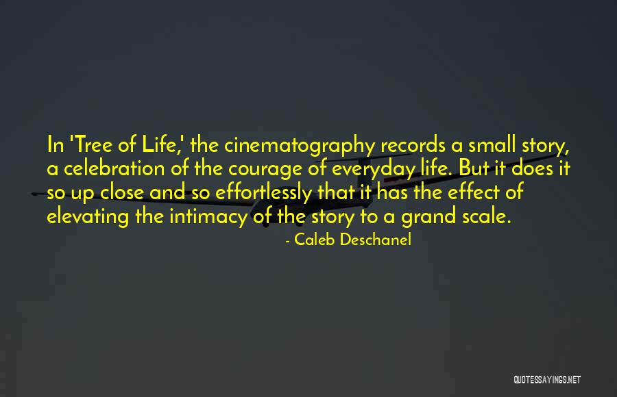 Celebration Of Life Quotes By Caleb Deschanel Celebration Of Life Quotes By Caleb Deschanel
