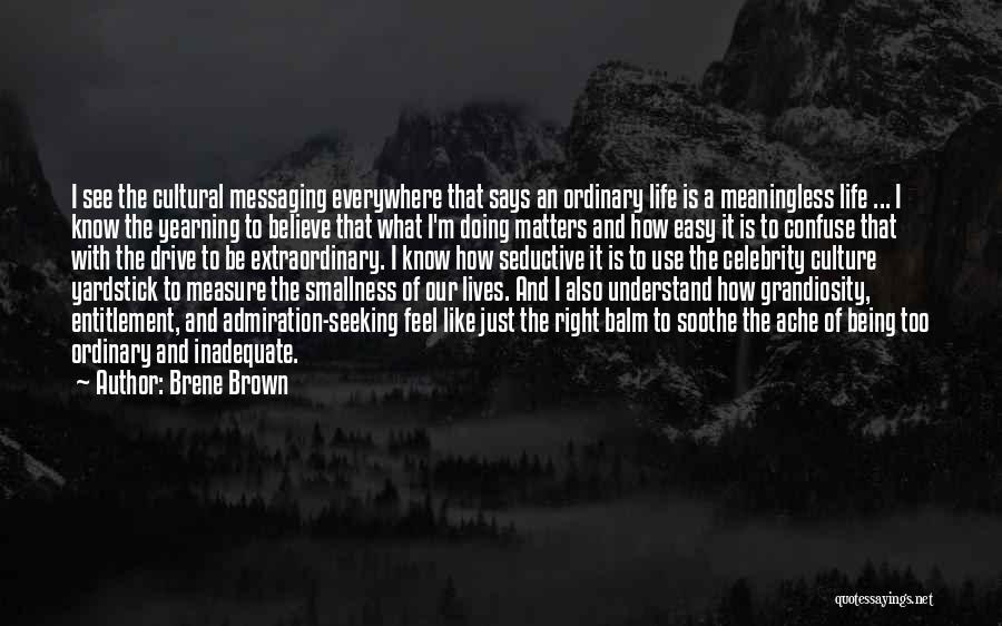 Celebrity Life Quotes By Brene Brown