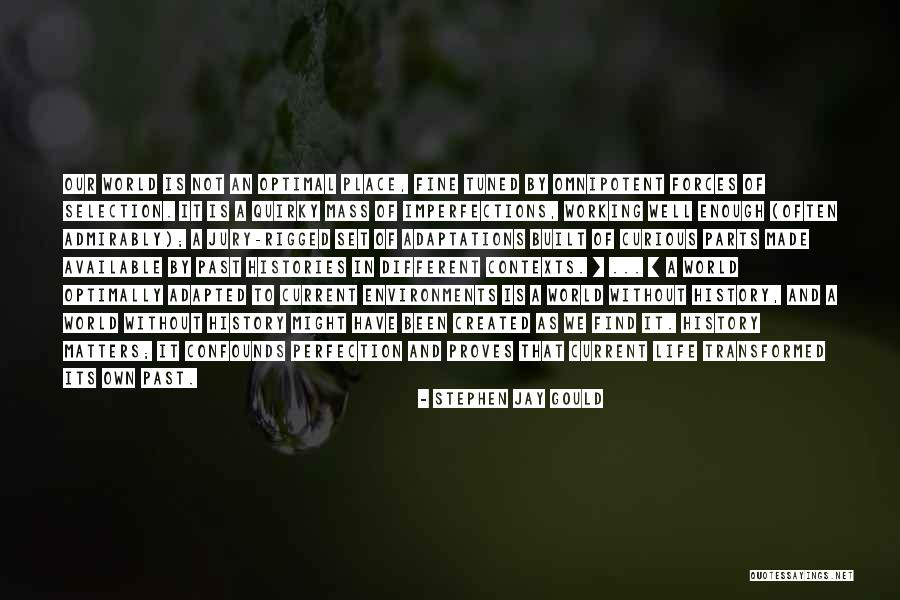 Celeiro Do Movel Quotes By Stephen Jay Gould Celeiro Do Movel Quotes By Stephen Jay Gould