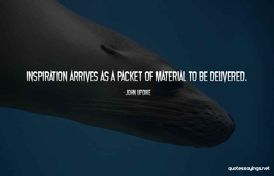Celena Iam Quotes By John Updike Celena Iam Quotes By John Updike