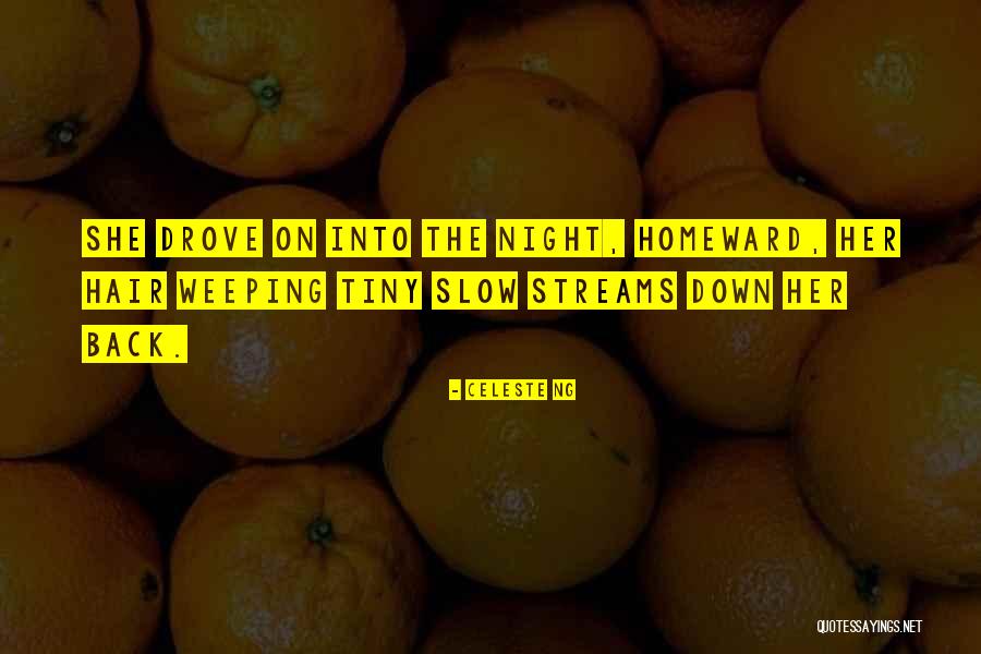 Celeste Ng Quotes 371590 Celeste Ng Quotes 371590
