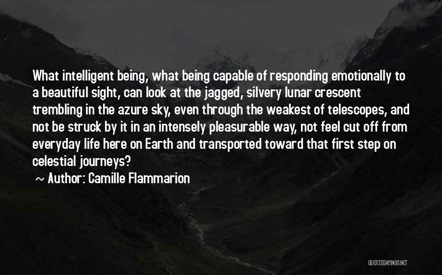 Celestial Life Quotes By Camille Flammarion