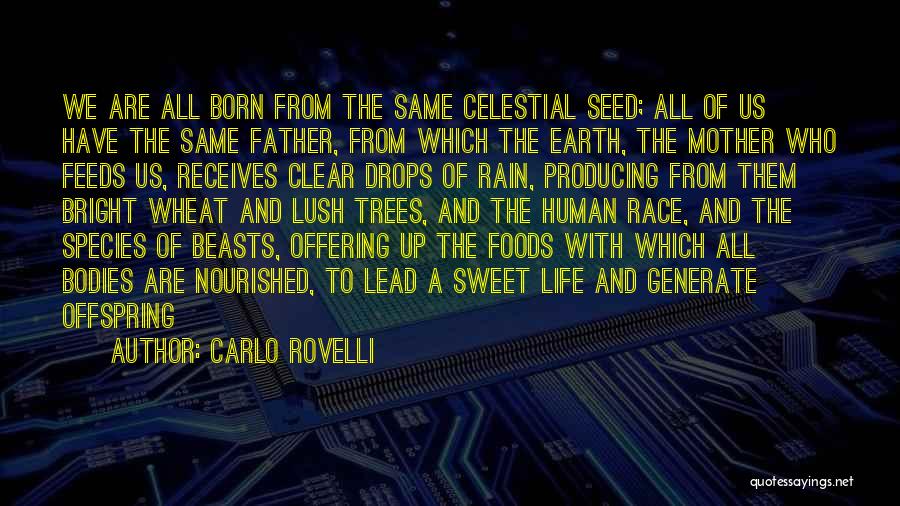 Celestial Life Quotes By Carlo Rovelli