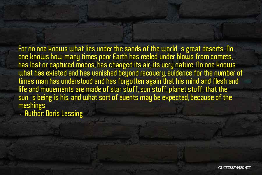 Celestial Life Quotes By Doris Lessing