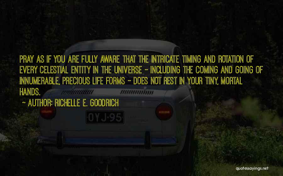 Celestial Life Quotes By Richelle E. Goodrich